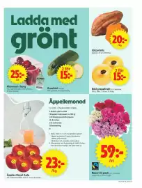 ICA Supermarket reklamblad vecka 37 Sida 5: Rosor 10-pack €59,00, Zucchini €15,00