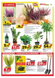 Bricomarche gazetka Strona 8