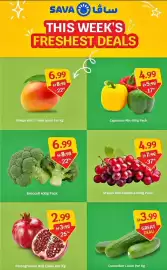SAVA catalogue Page 1