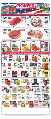 Pioneer (valid until 12-09)
