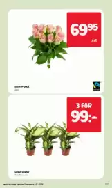Östenssons reklamblad vecka 37 Sida 7: Gröna växter €99,00, Rosor 9-pack €69,95