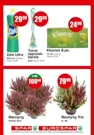 Eurospar kundeavis uke 37 Side 14: Zalo Ultra €29,90, Røsslyng Trio €79,90