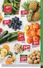Stokrotka gazetka tydzień 36 Strona 19