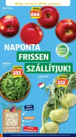 ALDI akciós újság hét 37 Oldal 22