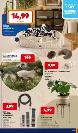Volantino ALDI settimana 38 Pagina 33: Romeo Cuccia morbida XL €14,99, Portapiante Elavi €4,99