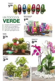 Volantino In'S Mercato Pagina 13