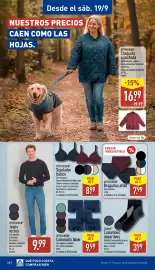 Folleto ALDI semana 38 Página 22: Up2fashion calzoncillo bóxer €9,99, Up2fashion braguitas altas €7,99