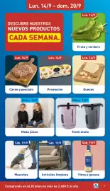 Folleto ALDI semana 38 Página 3