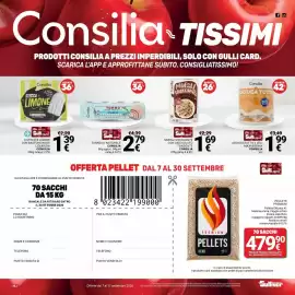 Volantino Supermercati Gulliver Pagina 18: Tonno al naturale Consilia €2,79, Asciugatutto 2 veli maxi bobina Consilia €1,99
