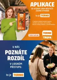 Terno leták týden 37 Strana 17