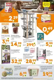Globus Baumarkt Prospekt woche 37 Seite 11