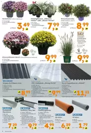 Globus Baumarkt Prospekt woche 37 Seite 4