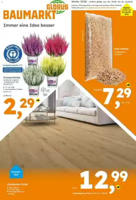 Globus Baumarkt (gültig bis 12-09)