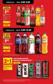 Biedronka gazetka tydzień 37 Strona 11