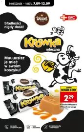 Biedronka gazetka tydzień 37 Strona 54
