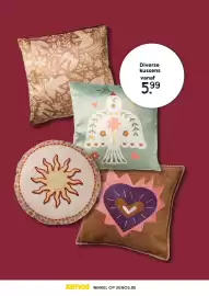 Xenos folder Pagina 6: Diverse kussens €5,99