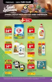 Biedronka gazetka tydzień 37 Strona 9: Karma dla kota Purina One €26,49, Płyn do naczyń Fairy €8,49