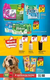 Arhelan gazetka Strona 17: Papier toaletowy nawilżany €5,99, Płyn do firanek, dywanów, proszek do firan Vanish €16,99