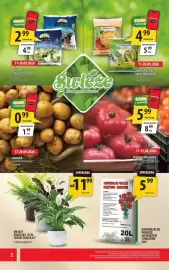 Arhelan gazetka Strona 2: Kwiaty Doniczka 12cm €11,99, Matyjaszczyk Ogórki kiszone €4,99