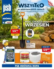 Mrówka gazetka Strona 1