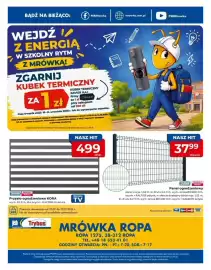 Mrówka gazetka Strona 8