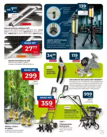 Mrówka gazetka Strona 3
