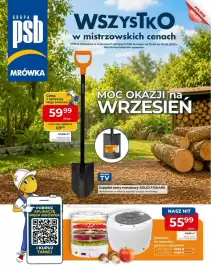 Mrówka gazetka Strona 1