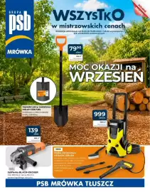 Mrówka gazetka Strona 1
