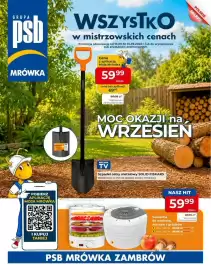 Mrówka gazetka Strona 1