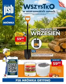 Mrówka gazetka Strona 1