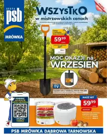 Mrówka gazetka Strona 1