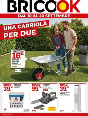 Brico OK (valido fino al 20-09)