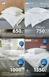 JYSK leták Strana 11: Basic přikrývka a polštář kvitegga €650,00, Přikrývka knutseggen €1.000,00
