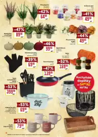 Billa leták Strana 22: Provence svíčka ve skle €49,90, Chryzantéma puget €49,90