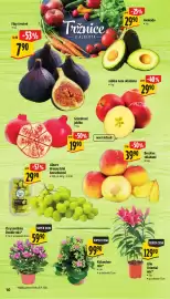Albert leták | Supermarket Strana 18