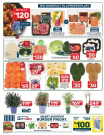 Pick n Pay catalogue week 37 Page 2: PnP Kiwi €30,00, PnP Green Plant Medium €169,99
