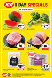 IGA catalogue Page 2