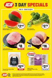 IGA catalogue Page 2