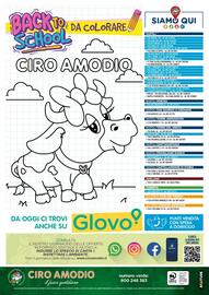 Volantino Ciro Amodio Pagina 12