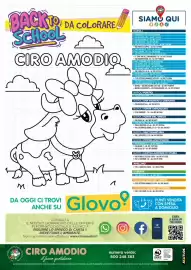 Volantino Ciro Amodio Pagina 12