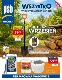 Mrówka gazetka Strona 1