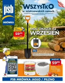 Mrówka gazetka Strona 1
