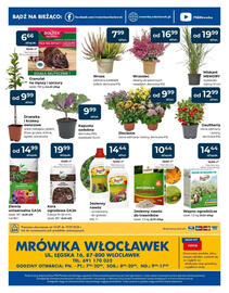 Mrówka gazetka Strona 8