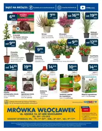 Mrówka gazetka Strona 8