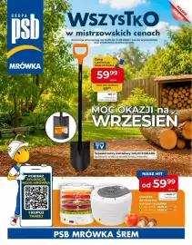 Mrówka gazetka Strona 1
