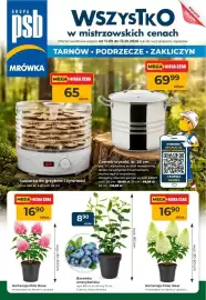 Mrówka gazetka Strona 1
