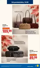 Lidl gazetka tydzień 38 Strona 19: WITTCHEN Torebka damska €109,99, WITTCHEN Torba męska typu nerka €89,99