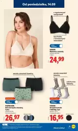 Lidl gazetka tydzień 38 Strona 25: ESMARA MEN Bokserki męskie z bawełną €26,97, ESMARA Skarpetki damskie z bawełną €16,95