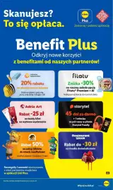 Lidl gazetka tydzień 38 Strona 58: Adria Art