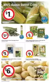 Coles catalogue week 37 Page 17
